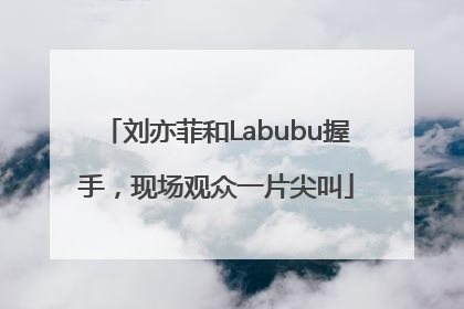 刘亦菲和Labubu握手，现场观众一片尖叫