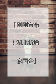 刚刚宣布！湖北新增一家国企