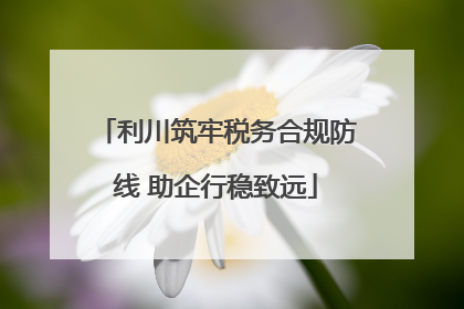 利川筑牢税务合规防线 助企行稳致远