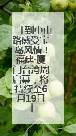到中山路感受宝岛风情！福建·厦门台湾周启幕，将持续至6月19日