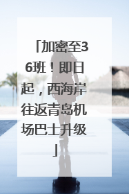 加密至36班！即日起，西海岸往返青岛机场巴士升级