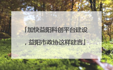 加快益阳科创平台建设，益阳市政协这样建言