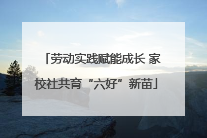 劳动实践赋能成长 家校社共育“六好”新苗