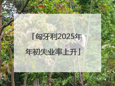 匈牙利2025年年初失业率上升