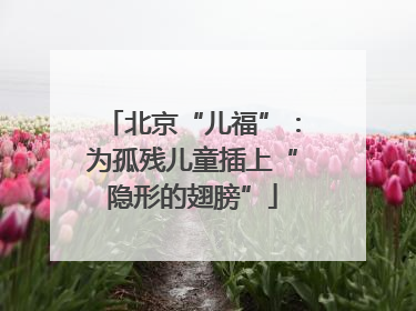 北京“儿福”：为孤残儿童插上“隐形的翅膀”