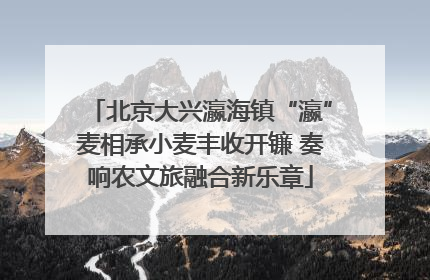 北京大兴瀛海镇“瀛”麦相承小麦丰收开镰 奏响农文旅融合新乐章