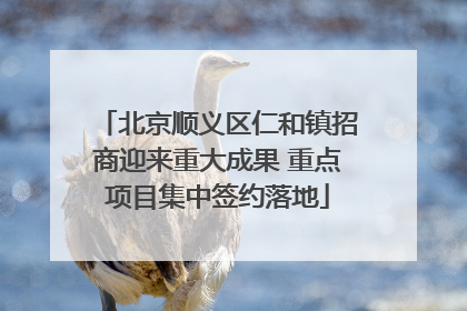 北京顺义区仁和镇招商迎来重大成果 重点项目集中签约落地