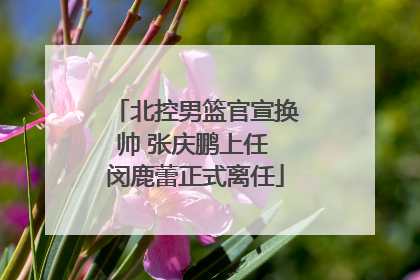 北控男篮官宣换帅 张庆鹏上任 闵鹿蕾正式离任