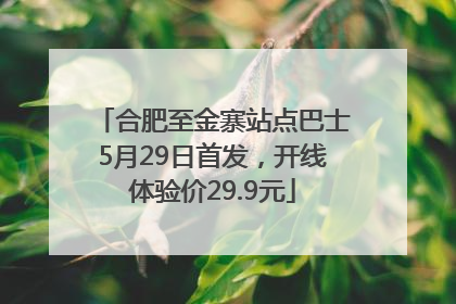 合肥至金寨站点巴士5月29日首发，开线体验价29.9元