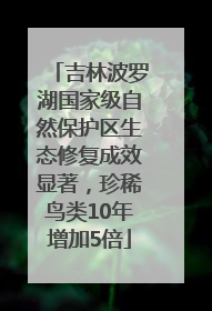 吉林波罗湖国家级自然保护区生态修复成效显著，珍稀鸟类10年增加5倍