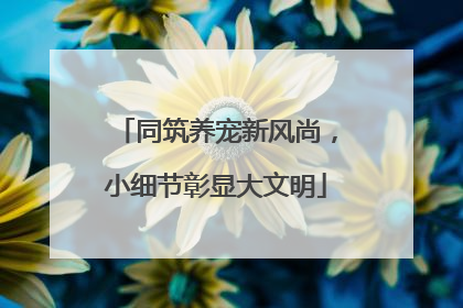 同筑养宠新风尚，小细节彰显大文明