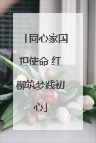 同心家国担使命 红柳筑梦践初心