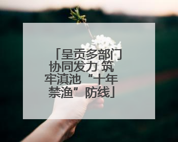 呈贡多部门协同发力 筑牢滇池“十年禁渔”防线