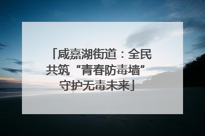咸嘉湖街道：全民共筑“青春防毒墙” 守护无毒未来