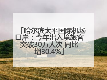 哈尔滨太平国际机场口岸：今年出入境旅客突破30万人次 同比增30.4%