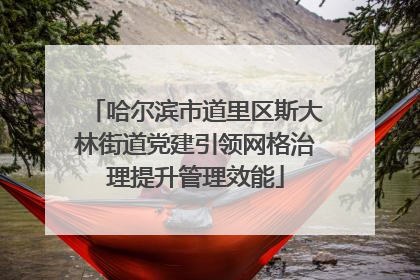 哈尔滨市道里区斯大林街道党建引领网格治理提升管理效能