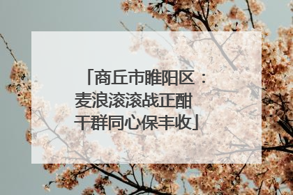 商丘市睢阳区：麦浪滚滚战正酣 干群同心保丰收