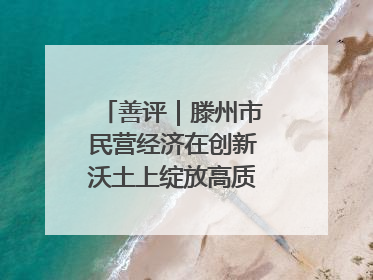 善评｜滕州市民营经济在创新沃土上绽放高质量发展之花