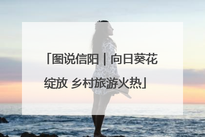 图说信阳｜向日葵花绽放 乡村旅游火热
