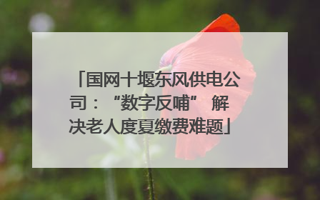 国网十堰东风供电公司：“数字反哺” 解决老人度夏缴费难题