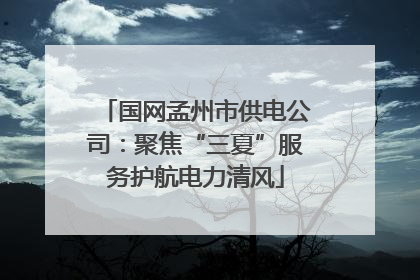 国网孟州市供电公司：聚焦“三夏”服务护航电力清风