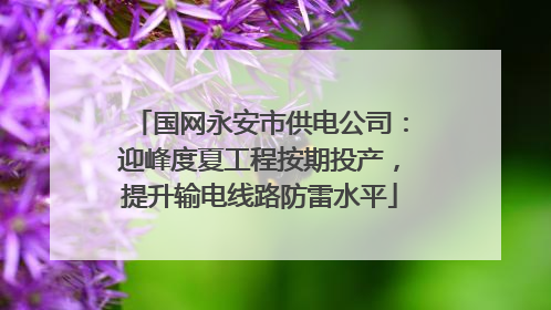 国网永安市供电公司：迎峰度夏工程按期投产，提升输电线路防雷水平