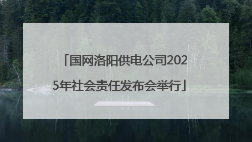 国网洛阳供电公司2025年社会责任发布会举行
