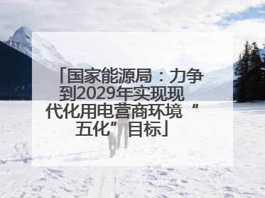 国家能源局：力争到2029年实现现代化用电营商环境“五化”目标