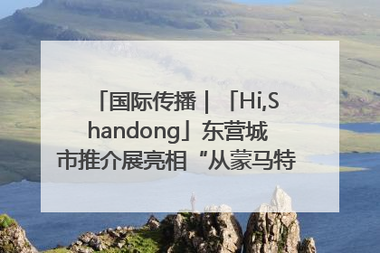 国际传播｜「Hi,Shandong」东营城市推介展亮相“从蒙马特到加里波第”文化节