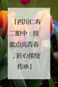 四川仁寿二职中：技能点亮青春，匠心接续传承