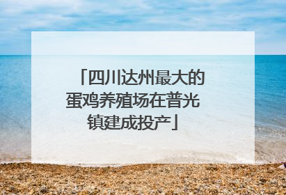 四川达州最大的蛋鸡养殖场在普光镇建成投产