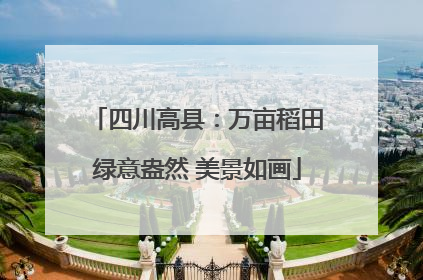 四川高县：万亩稻田绿意盎然 美景如画