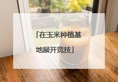 在玉米种植基地展开竞技