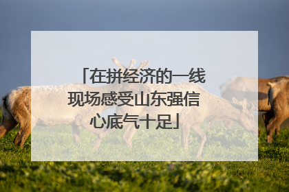 在拼经济的一线现场感受山东强信心底气十足