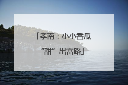 孝南：小小香瓜 “甜”出富路