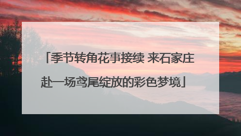 季节转角花事接续 来石家庄赴一场鸢尾绽放的彩色梦境
