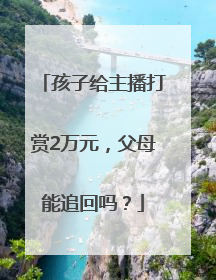 孩子给主播打赏2万元，父母能追回吗？