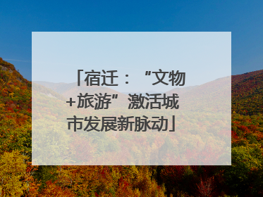 宿迁：“文物+旅游”激活城市发展新脉动