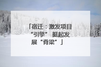 宿迁：激发项目“引擎” 挺起发展“脊梁”
