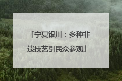 宁夏银川：多种非遗技艺引民众参观