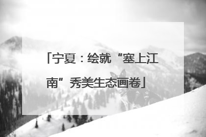 宁夏：绘就“塞上江南”秀美生态画卷