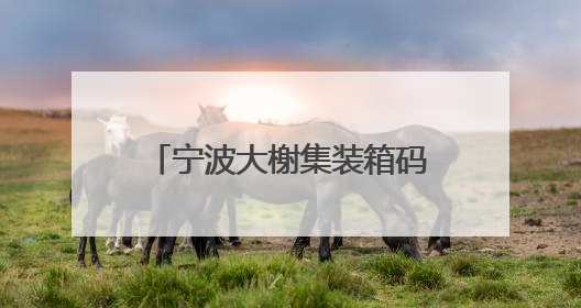 宁波大榭集装箱码头二期工程综合应急演练成功举行