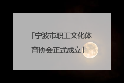 宁波市职工文化体育协会正式成立