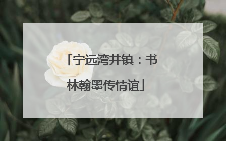 宁远湾井镇：书林翰墨传情谊