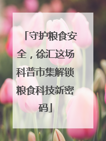 守护粮食安全，徐汇这场科普市集解锁粮食科技新密码