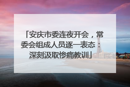 安庆市委连夜开会，常委会组成人员逐一表态：深刻汲取惨痛教训
