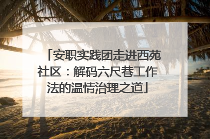 安职实践团走进西苑社区：解码六尺巷工作法的温情治理之道