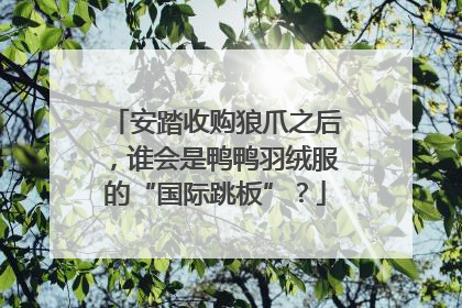 安踏收购狼爪之后，谁会是鸭鸭羽绒服的“国际跳板”？