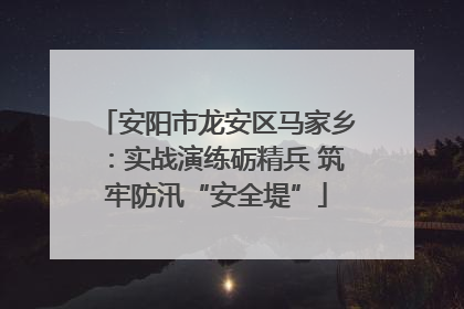 安阳市龙安区马家乡：实战演练砺精兵 筑牢防汛“安全堤”
