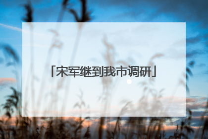 宋军继到我市调研